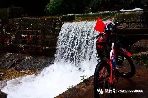 腌腊八蒜的正确方法游戏画面